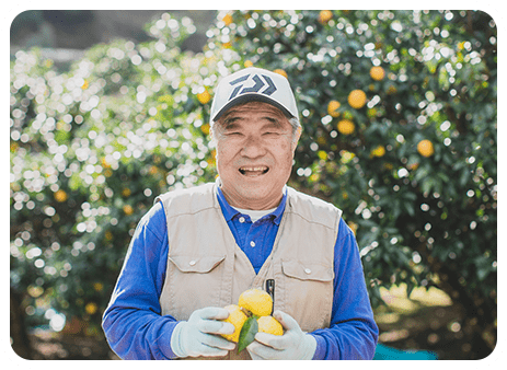 柚子収穫